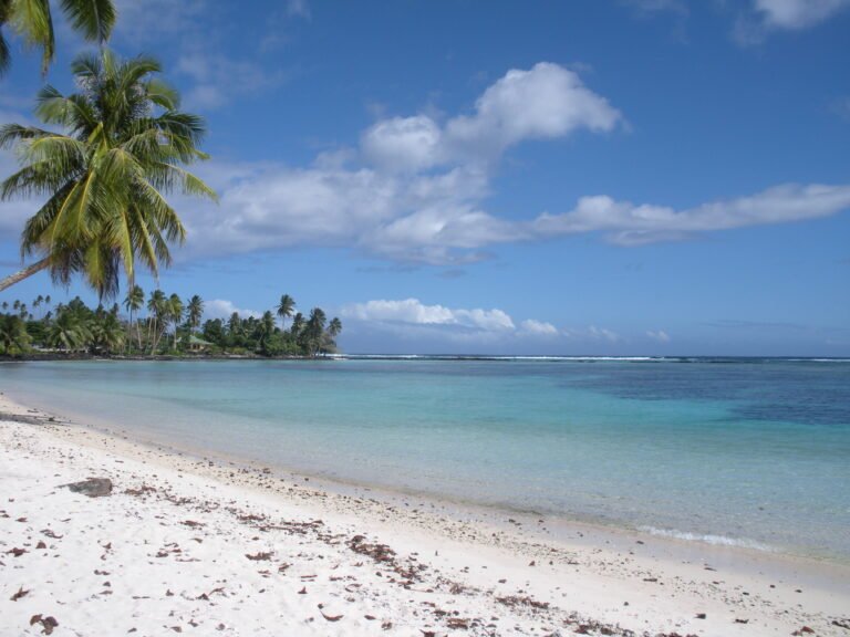 Samoa Is Preparing to Nominate Tatau for UNESCO's Urgent Safeguarding List