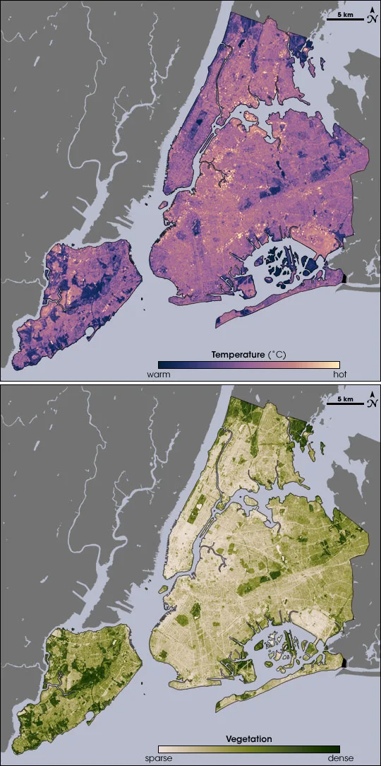 Urban Heat Is Becoming a Public Health Emergency