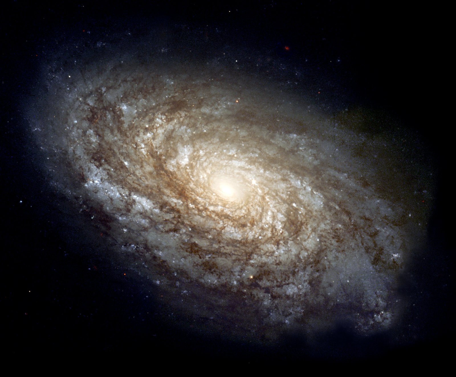 Inside the Superbubble: How Hubble Photographed a Hole in Space