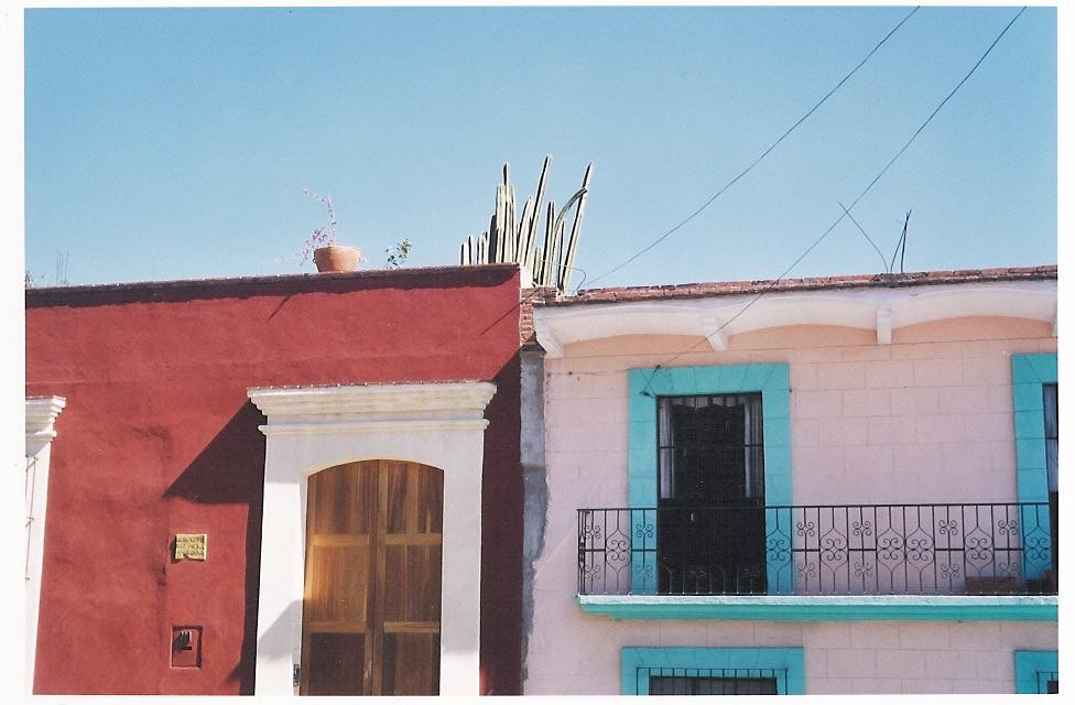 Oaxaca's Purple Dye Project Links Biocultural Heritage to Artisan Income