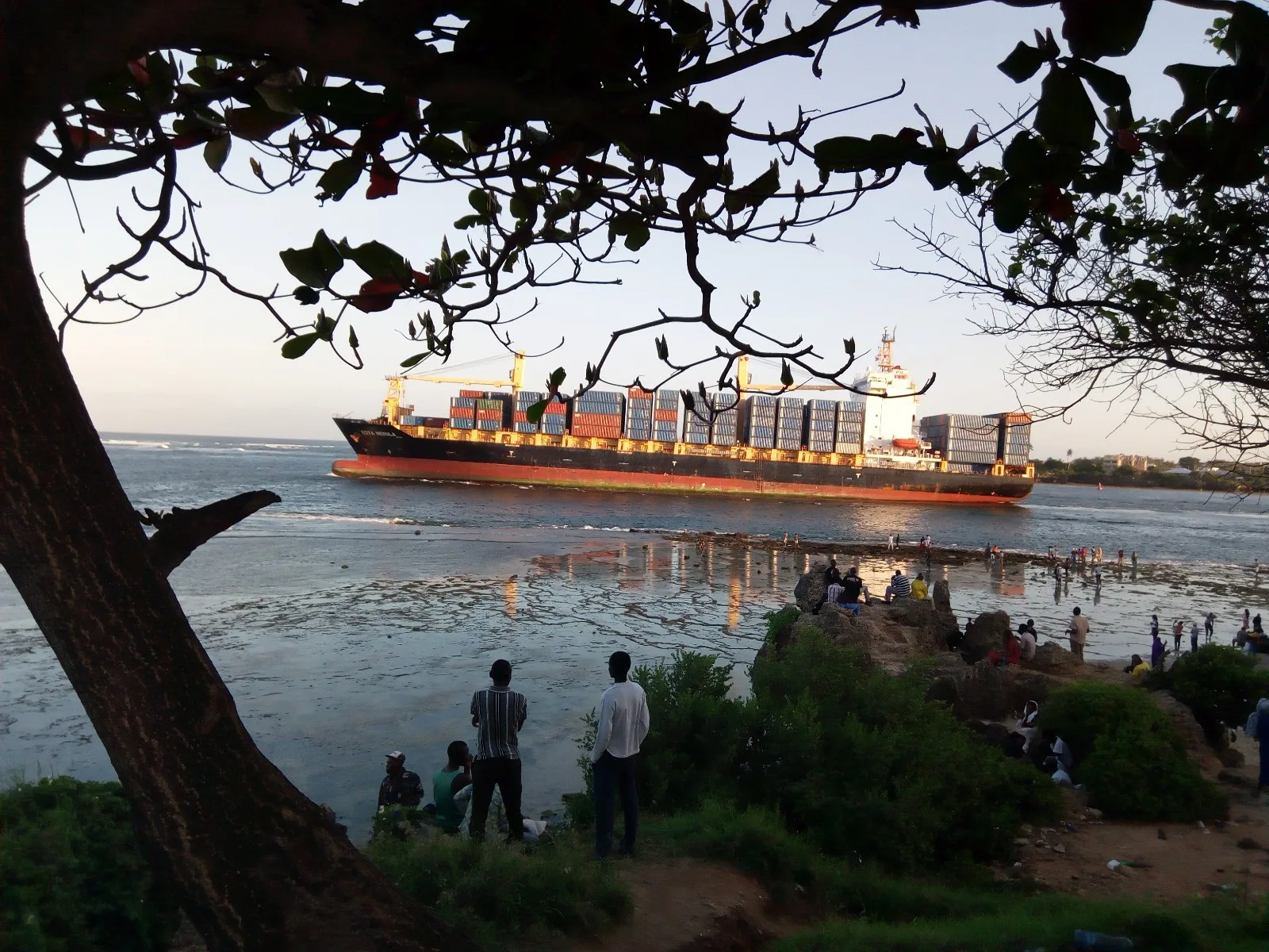 Container Freight Rates Swing Because Capacity Cannot Move Fast