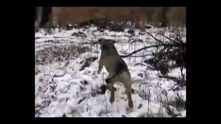 Why the 2009 Russian levitating girl video still baffles viewers