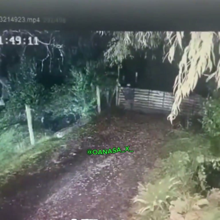 Unexplained CCTV Clip Shows White Shape Moving in Night Yard