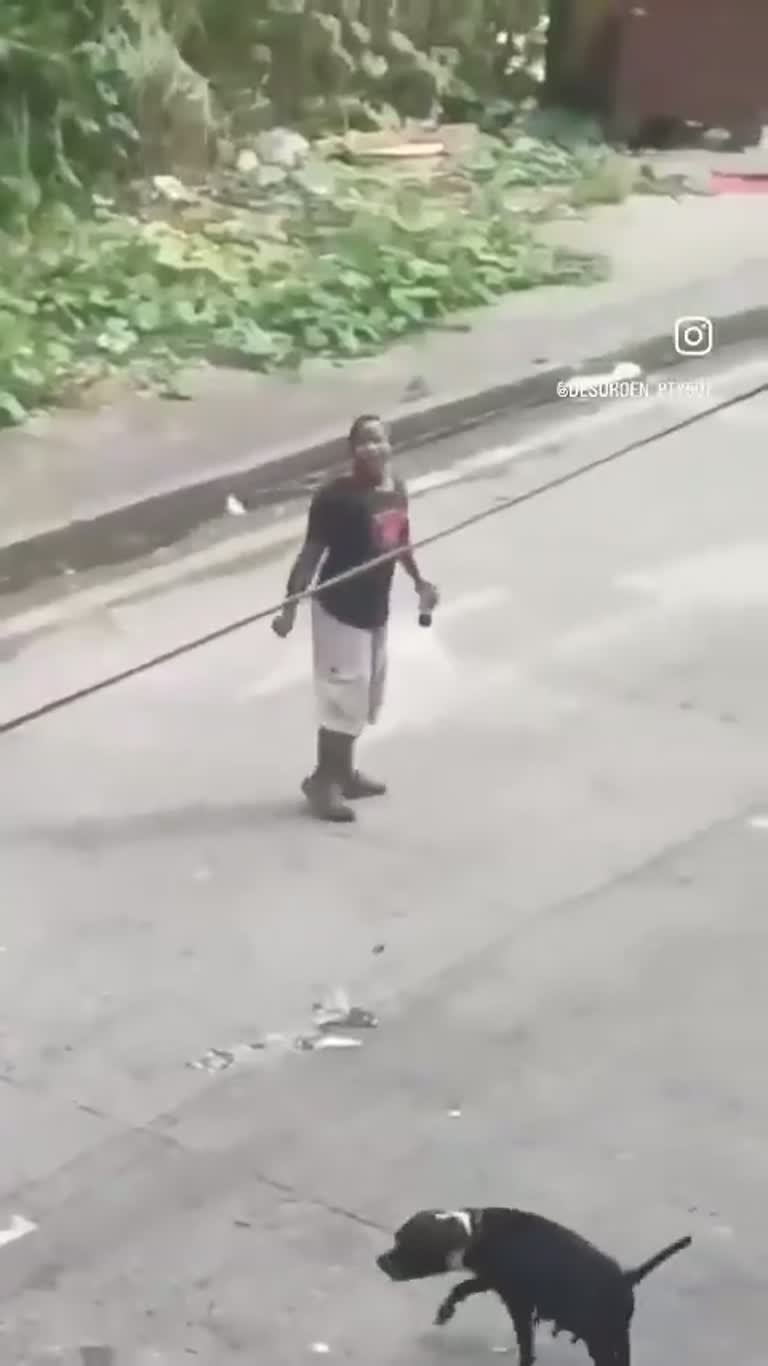 A Man, a Stray Dog and a Stick: A Street Corner Encounter