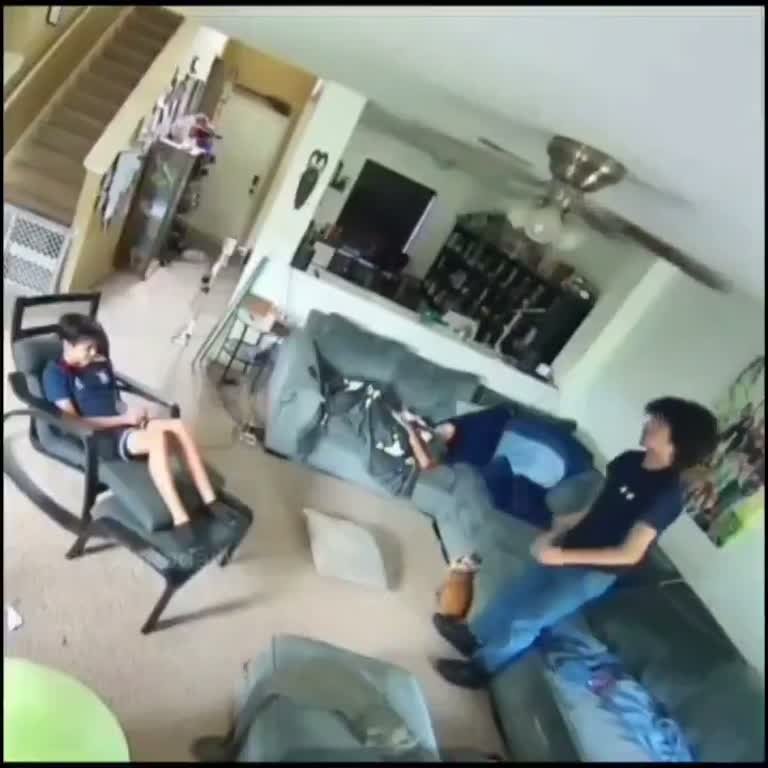 Living Room Stunt Near Ceiling Fan Prompts a Warning