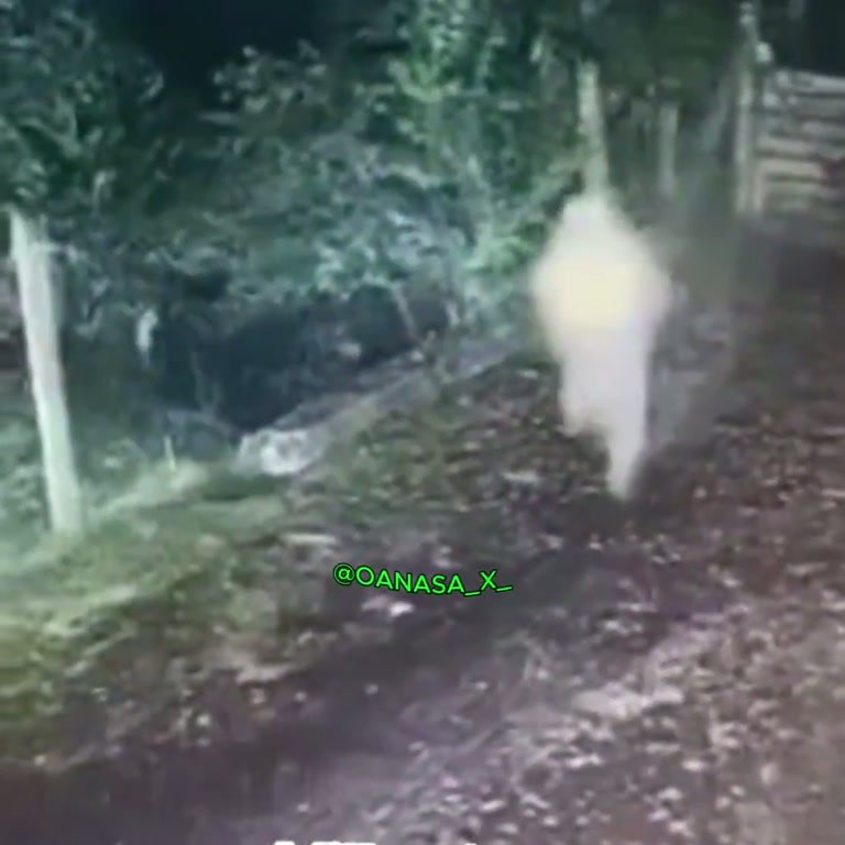 Unexplained CCTV Clip Shows White Shape Moving in Night Yard