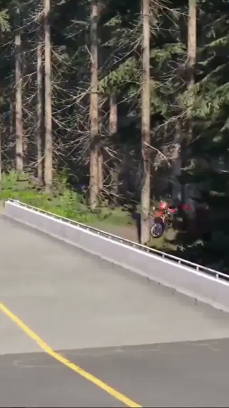 Motorcycle Goes Down on Forest Road as SUV Turns Across Lane