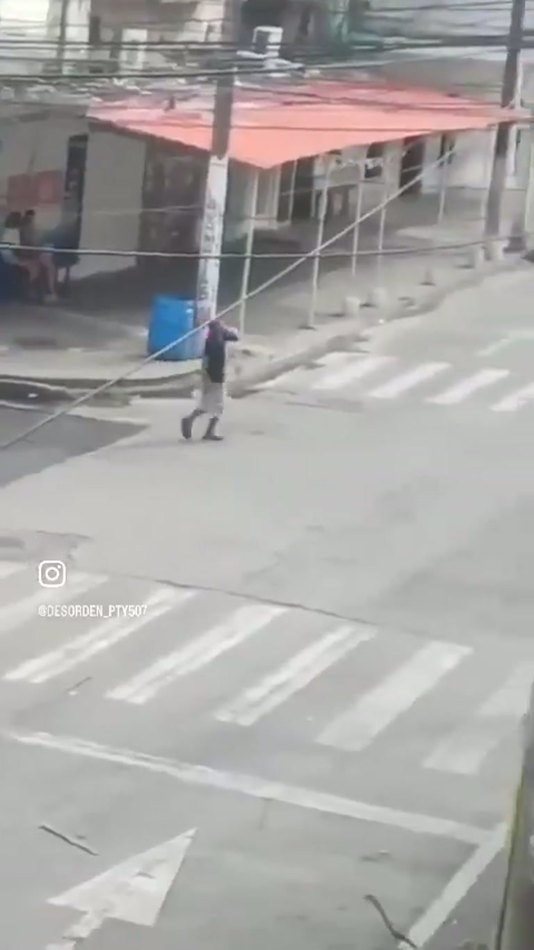 A Man, a Stray Dog and a Stick: A Street Corner Encounter