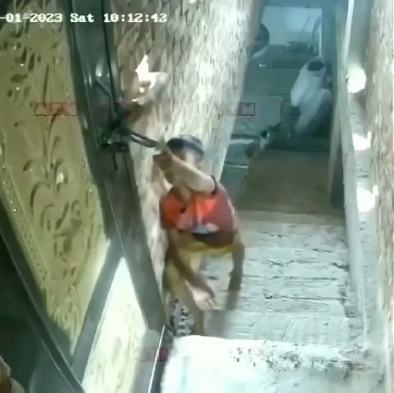 CCTV Clip Traces 44 Seconds of a Boy at a Building Doorway