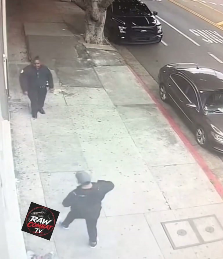 Security Guard vs. a Man Who Picked the Wrong Sidewalk to Fight